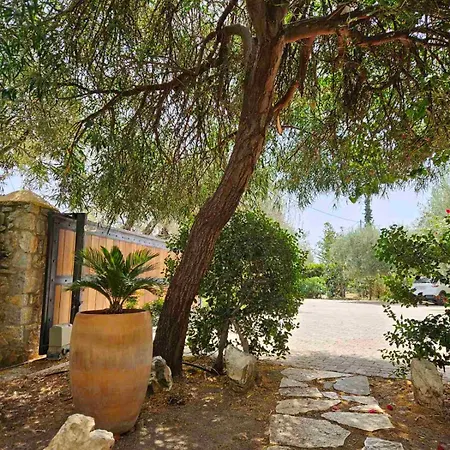 Orestis' Family House 公寓 埃尔米奥尼