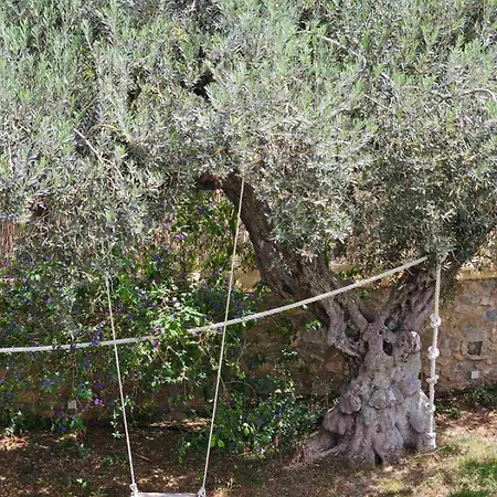 Orestis' Family House *