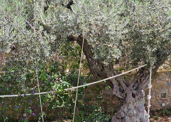 Orestis' Family House *